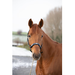 Licol HFI Polo Noir / marine / argenté Motifs Licol HFI Polo Noir / marine / argenté Motifs