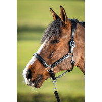 Halter HFI Wave Zwart