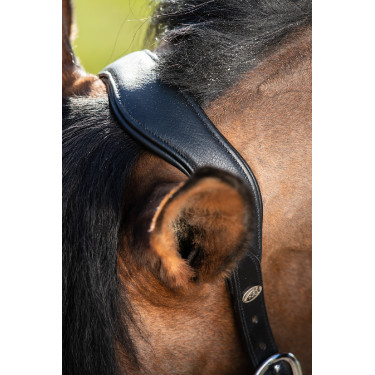 Halter HFI Wave Halter HFI Wave