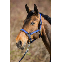 Nylon Halster HFI Marine / bleu royal