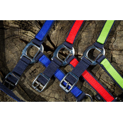 Licol Nylon HFI Marine / bleu royal Licol Nylon HFI Marine / bleu royal