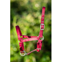 Licol Nylon HFI Poulain Bordeaux Licol Nylon HFI Poulain Bordeaux