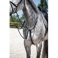 Martingale d'entrainement HFI Noir Martingale d'entrainement HFI Noir