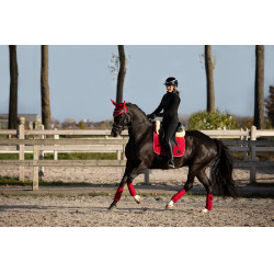 Tapis de selle HFI Velvet Rouge
