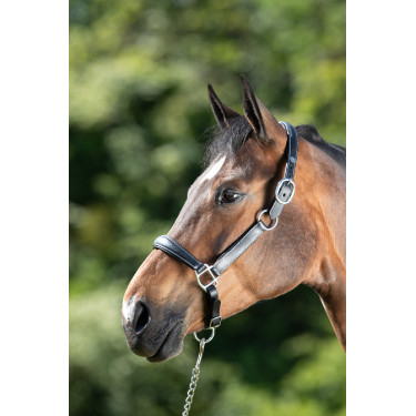 Halster grooming HFI Zwart