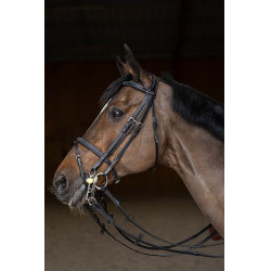 Springtrens HFI Master double jump Springtrens HFI Master double jump