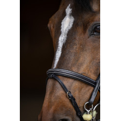 Bride de jumping HFI Master double jump Noir Bride de jumping HFI Master double jump Noir