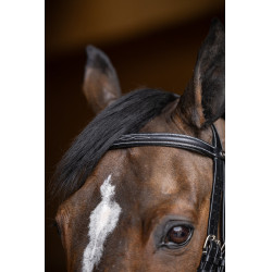 Bride de jumping HFI Master double jump Noir Bride de jumping HFI Master double jump Noir