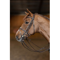 Springtrens HFI Master double jump Bruin