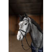 Bridon Combiné Flex HFI Master Noir