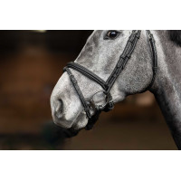 Combinatie Hoofdstel Flex HFI Master Zwart Combinatie Hoofdstel Flex HFI Master Zwart