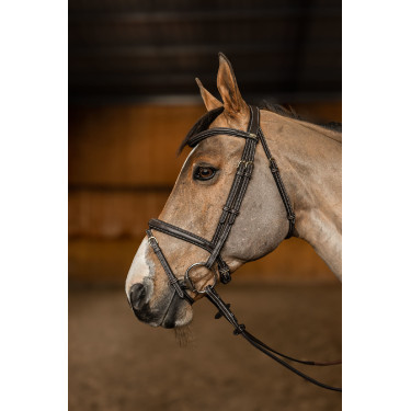 Bridon Combiné Flex HFI Master Marron Bridon Combiné Flex HFI Master Marron
