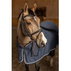 Bridon Combiné Flex HFI Master Marron Bridon Combiné Flex HFI Master Marron