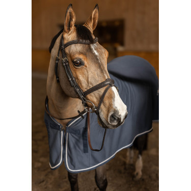 Bridon Combiné Flex HFI Master Marron Bridon Combiné Flex HFI Master Marron