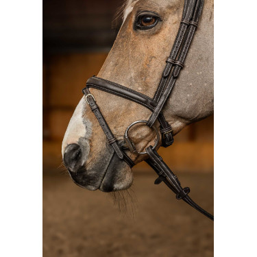 Bridon Combiné Flex HFI Master Marron Bridon Combiné Flex HFI Master Marron