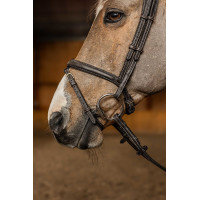 Combinatie Hoofdstel Flex HFI Master Zwart Combinatie Hoofdstel Flex HFI Master Zwart