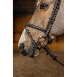 Combinatie Hoofdstel Flex HFI Master Bruin Combinatie Hoofdstel Flex HFI Master Bruin