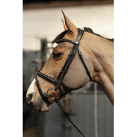 Bridon combiné Milano HFI Master Pro Line Noir / argent Bridon combiné Milano HFI Master Pro Line Noir / argent