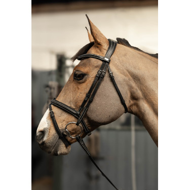Gecombineerd hoofdstel Milano HFI Master Pro Line Gecombineerd hoofdstel Milano HFI Master Pro Line