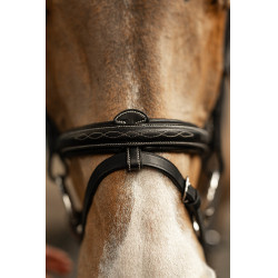 Bridon combiné Milano HFI Master Pro Line Noir / argent Bridon combiné Milano HFI Master Pro Line Noir / argent