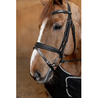 Gecombineerd Hoofdstel Padded HFI Master Zwart