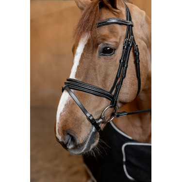 Gecombineerd Hoofdstel Padded HFI Master Gecombineerd Hoofdstel Padded HFI Master