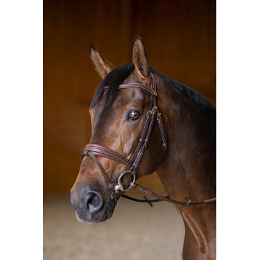 Gecombineerd Hoofdstel Padded HFI Master Bruin