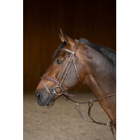 Bridon Combiné Padded HFI Master Marron