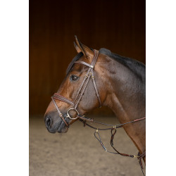 Gecombineerd Hoofdstel Padded HFI Master Bruin