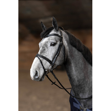 **Gecombineerd Hoofdstel Painted HFI Master**