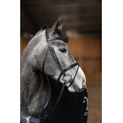 Bridon Combiné Painted HFI Master Noir Bridon Combiné Painted HFI Master Noir