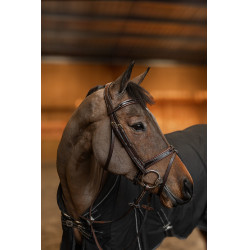 **Gecombineerd Hoofdstel Painted HFI Master** Bruin