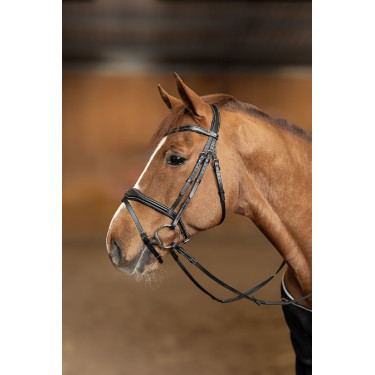 Gecombineerd Hoofdstel Wavy HFI Master