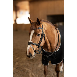 Gecombineerd Hoofdstel Wavy HFI Master Zwart