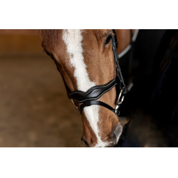 Gecombineerd Hoofdstel Wavy HFI Master Zwart