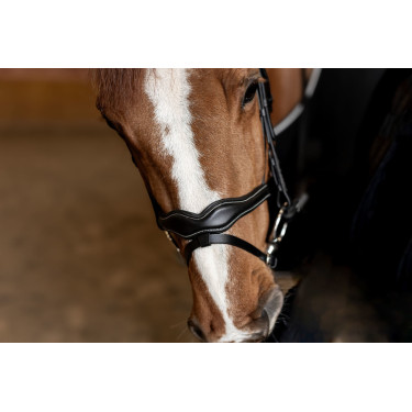 Gecombineerd Hoofdstel Wavy HFI Master Zwart