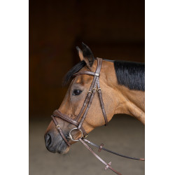 Bridon Combiné Wavy HFI Master Marron