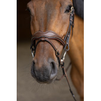 Gecombineerd Hoofdstel Wavy HFI Master Bruin