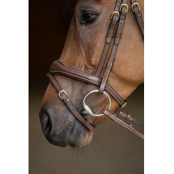 Gecombineerd Hoofdstel Wavy HFI Master Bruin