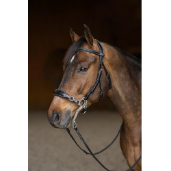 Hackamore Hoofdstel HFI Master Hackamore Hoofdstel HFI Master