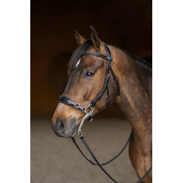 Hackamore Hoofdstel HFI Master Hackamore Hoofdstel HFI Master