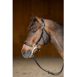Hackamore Hoofdstel HFI Master Hackamore Hoofdstel HFI Master