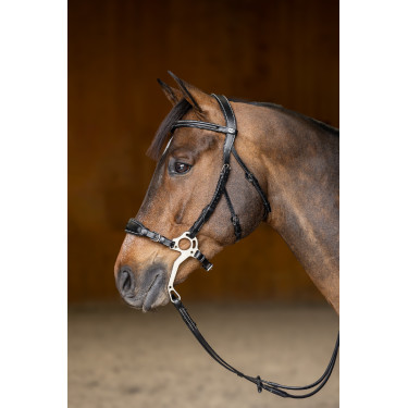 Hackamore Hoofdstel HFI Master Hackamore Hoofdstel HFI Master