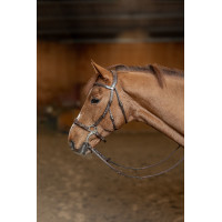 Hackamore Hoofdstel HFI Master Bruin