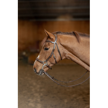 Hackamore Hoofdstel HFI Master Hackamore Hoofdstel HFI Master