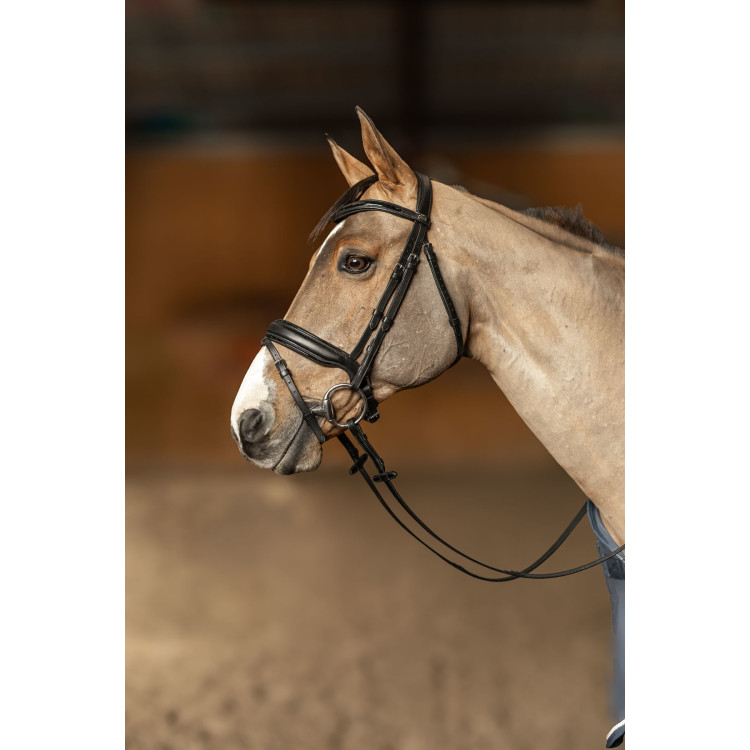 Bridon HFI Master pull-back Edges Bridon HFI Master pull-back Edges