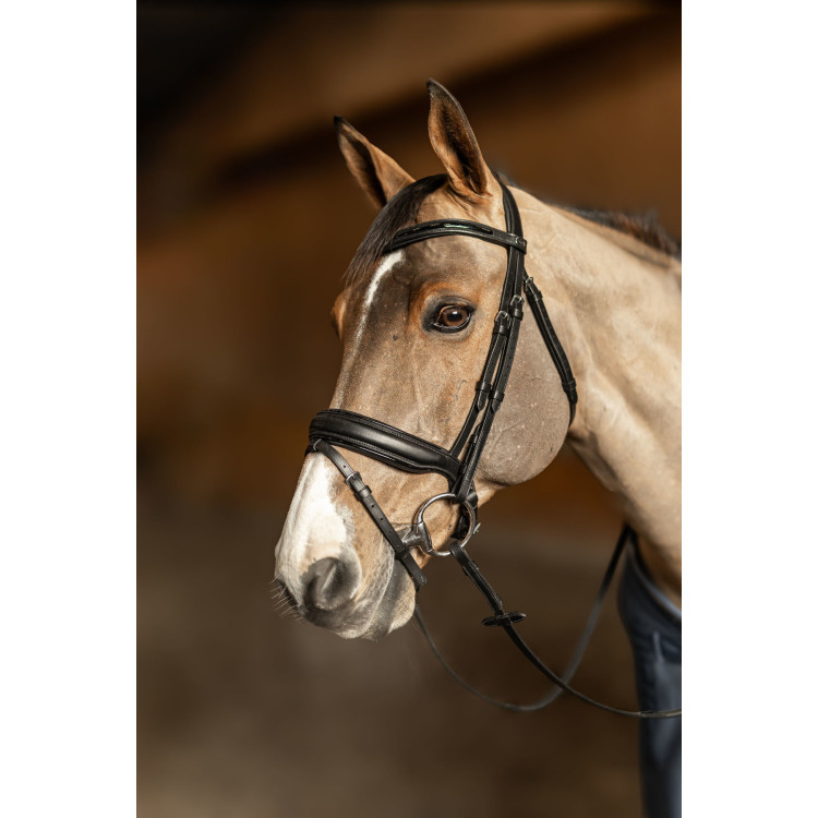 Bridon HFI Master pull-back Edges Bridon HFI Master pull-back Edges