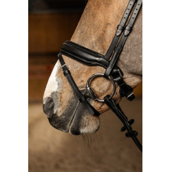 Bridon HFI Master pull-back Edges Zwart