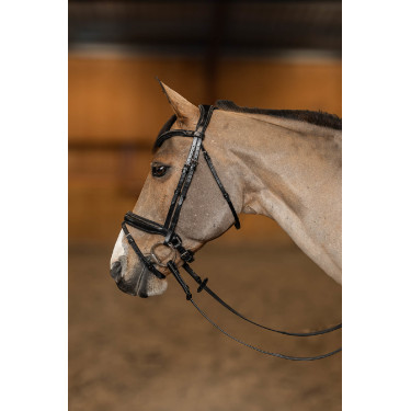 Bridon Pull-back Verona HFI Master Pro Line Bridon Pull-back Verona HFI Master Pro Line