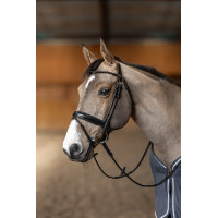 **Ronde hoofdstel HFI Master** Zwart